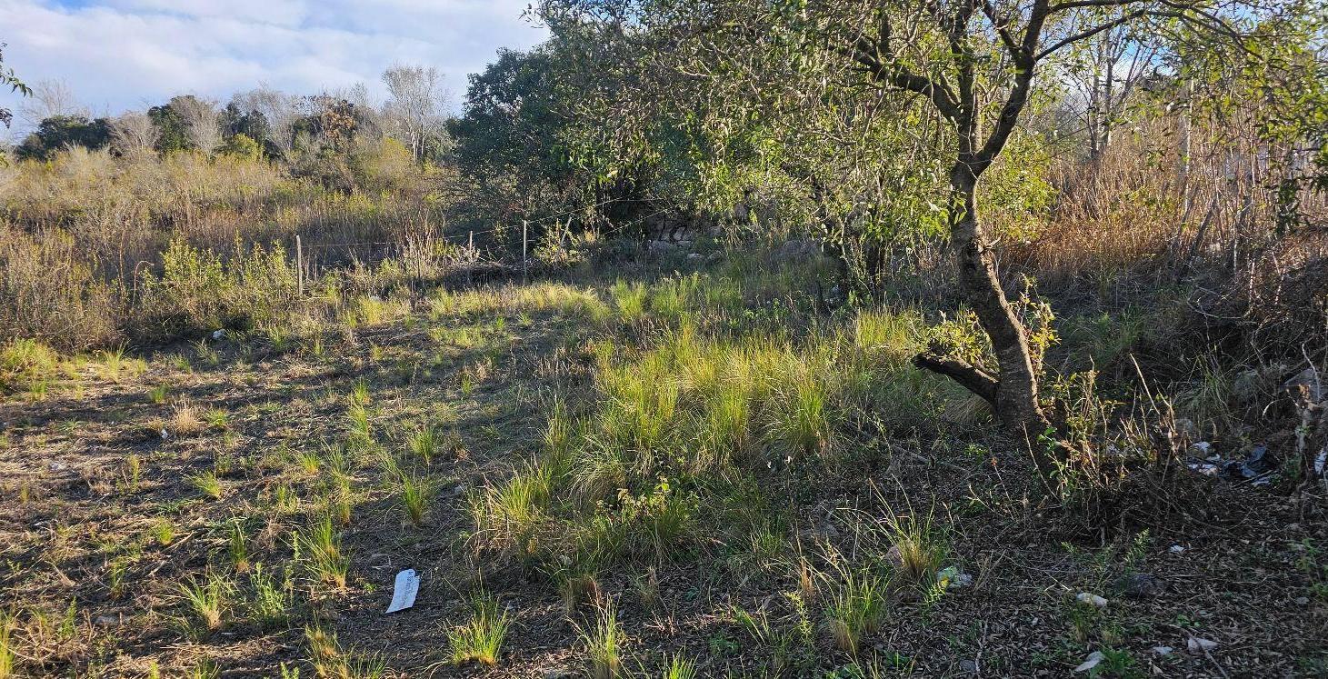 Foto de TERRENO EN LA FALDA, BARRIO EL DOMINADOR, imagen 3