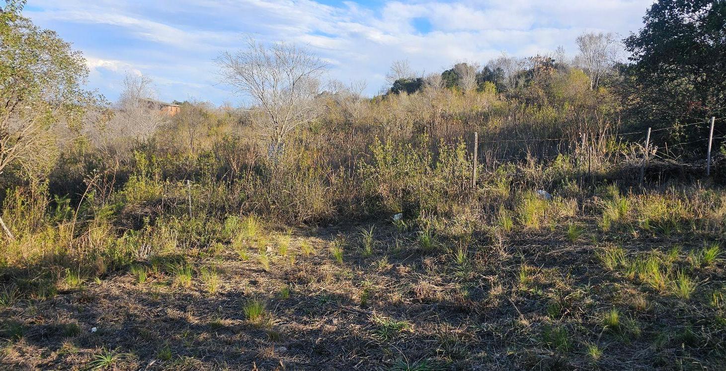 Foto de TERRENO EN LA FALDA, BARRIO EL DOMINADOR, imagen 4