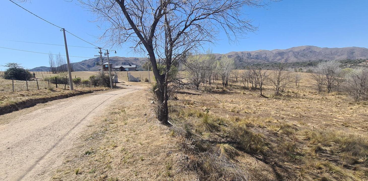 Foto de Terreno - Villa Giardino, imagen 4
