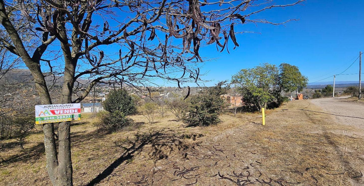 Foto de Terreno - Villa Giardino, imagen 3