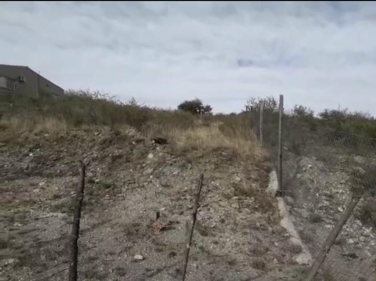 Foto de TERRENO EN LA FALDA, imagen 5