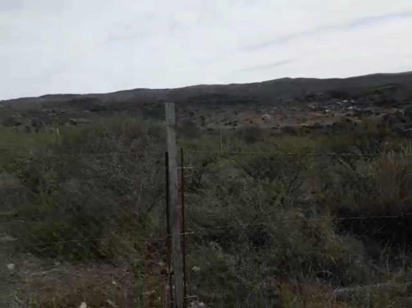 Foto de TERRENO EN LA FALDA, imagen 3