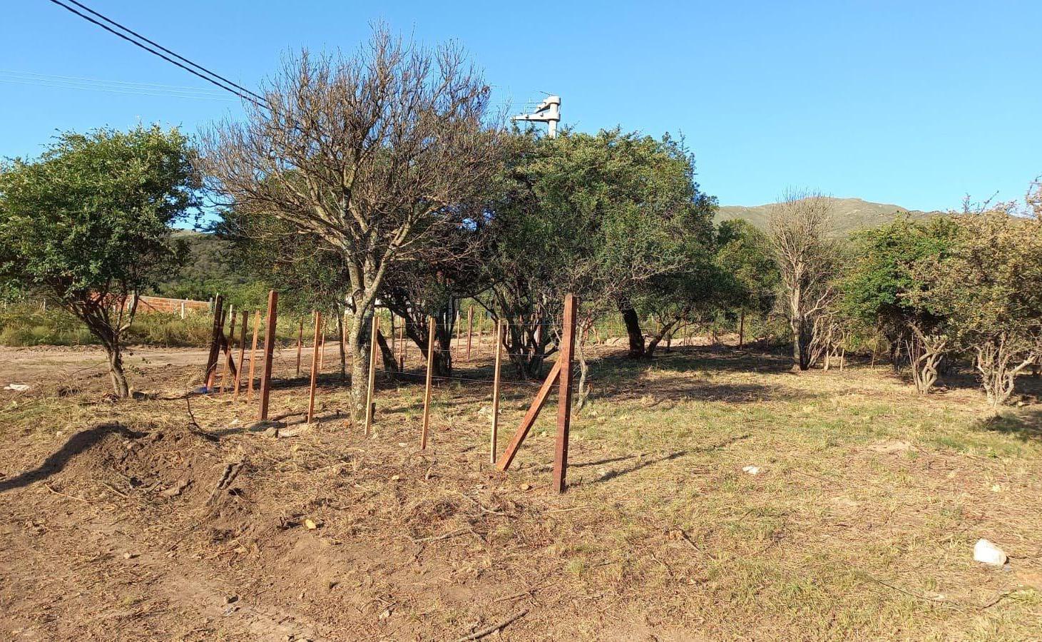 Foto de Terreno - Huerta Grande, imagen 5
