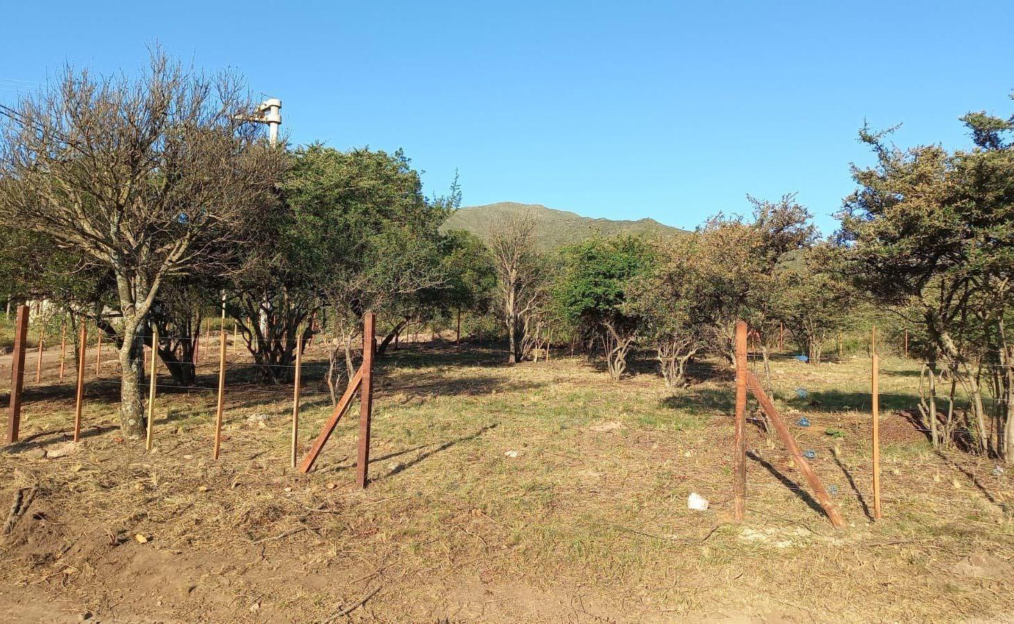 Foto de Terreno - Huerta Grande, imagen 3