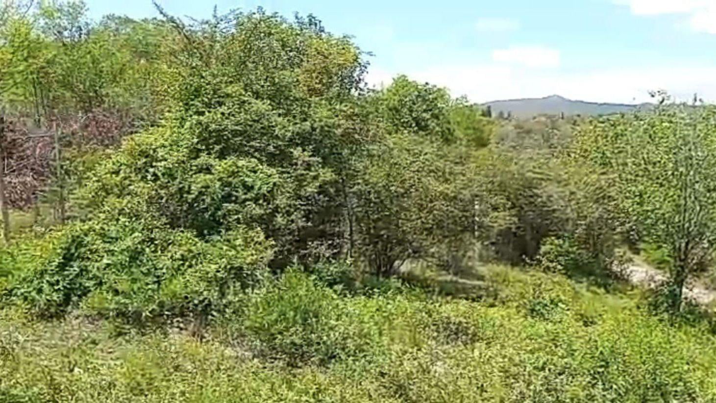 Foto de Terreno - La Falda, imagen 2