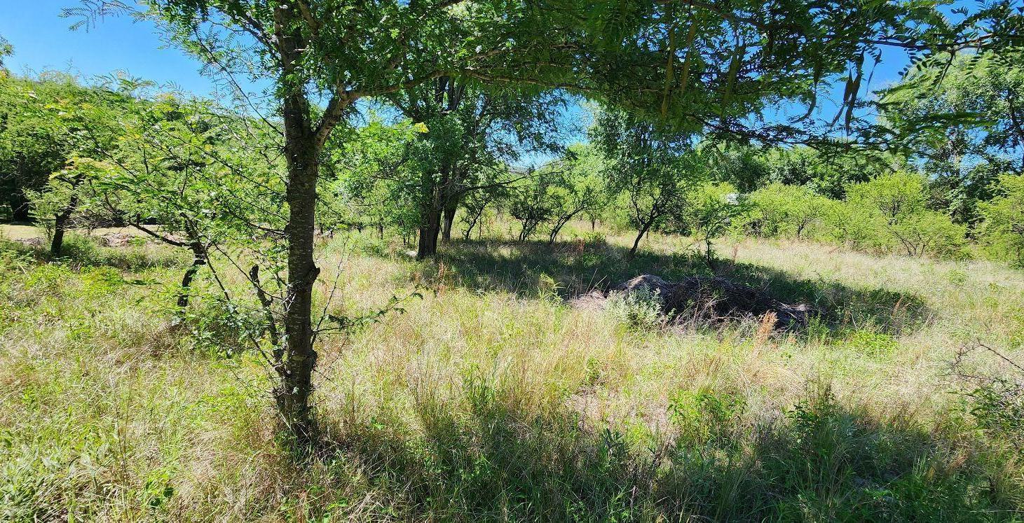 Foto de Terreno en Molinari, imagen 1