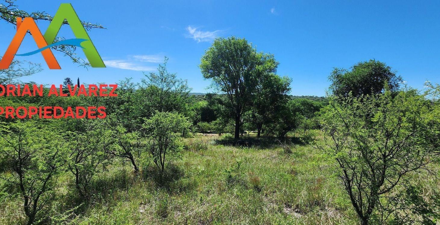 Foto de Terreno en Molinari, imagen 2