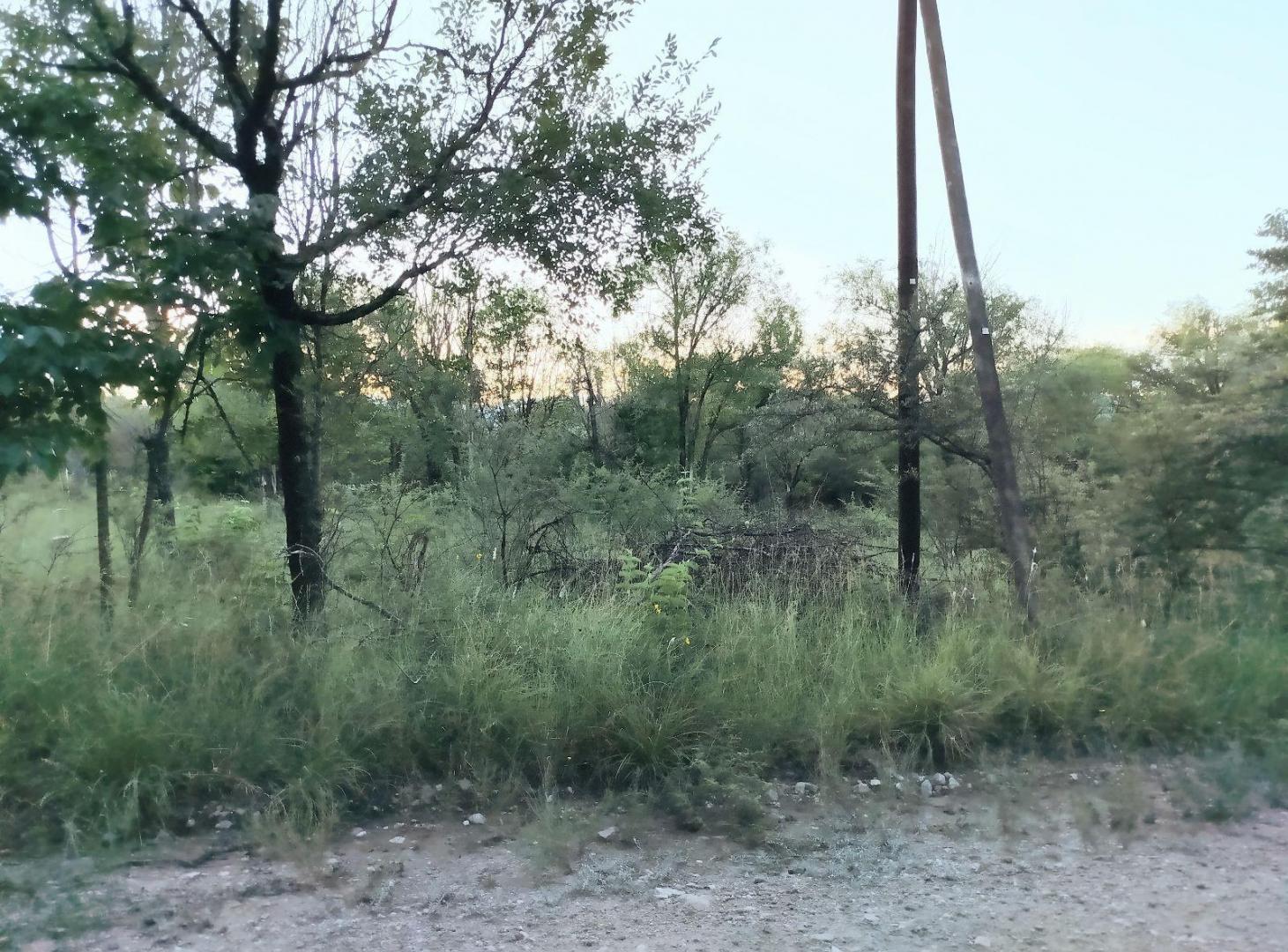 Foto de TERRENO EN CASA GRANDE, imagen 4