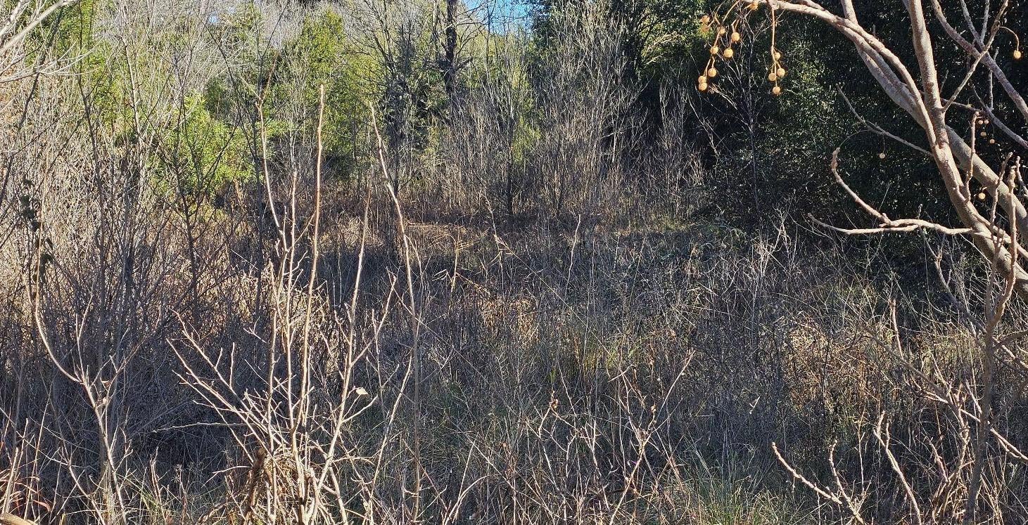 Foto de Terreno - Villa Giardino, imagen 3