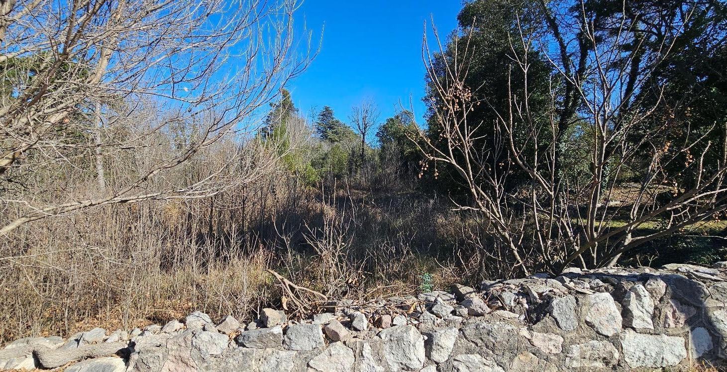 Foto de Terreno - Villa Giardino, imagen 2