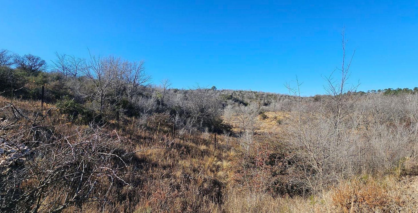 Foto de Terreno - La Cumbre, imagen 1