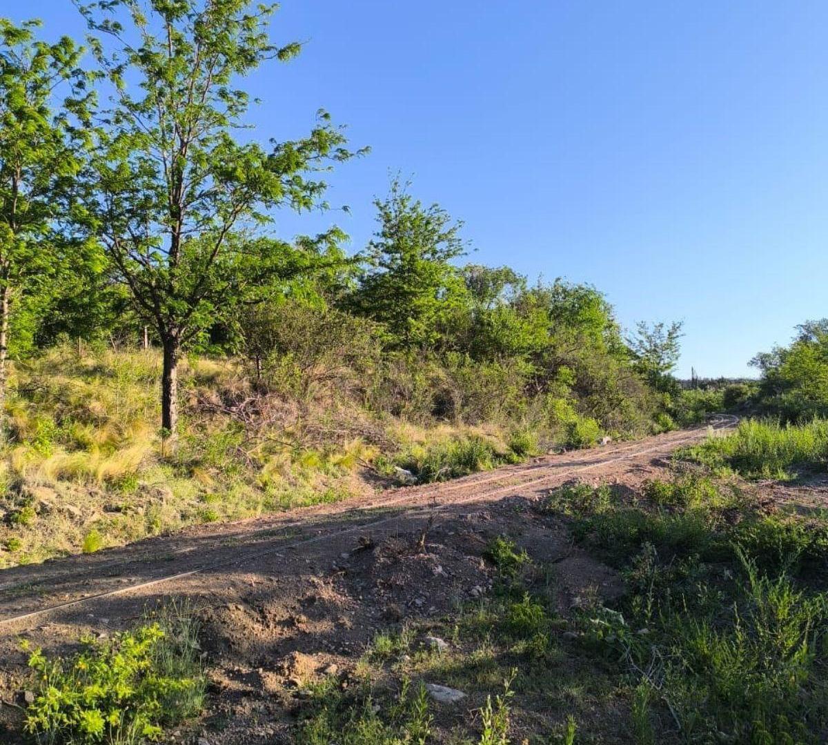 Foto de Terreno - La Cumbre, imagen 2