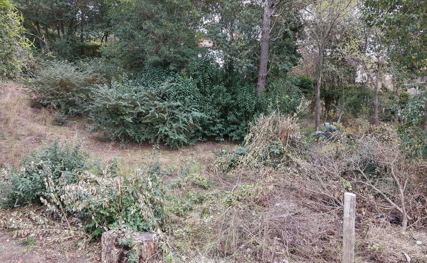 Foto de Terreno - Villa Giardino, imagen 5