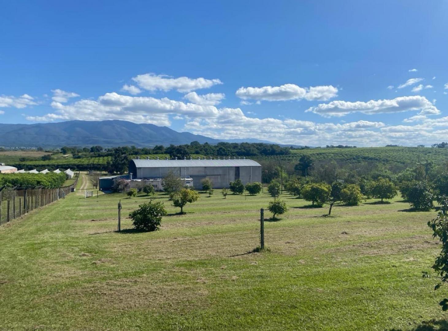 ALQUILER DE PREDIO CON GALPÓN - Los Nogales TUCUMÁN
