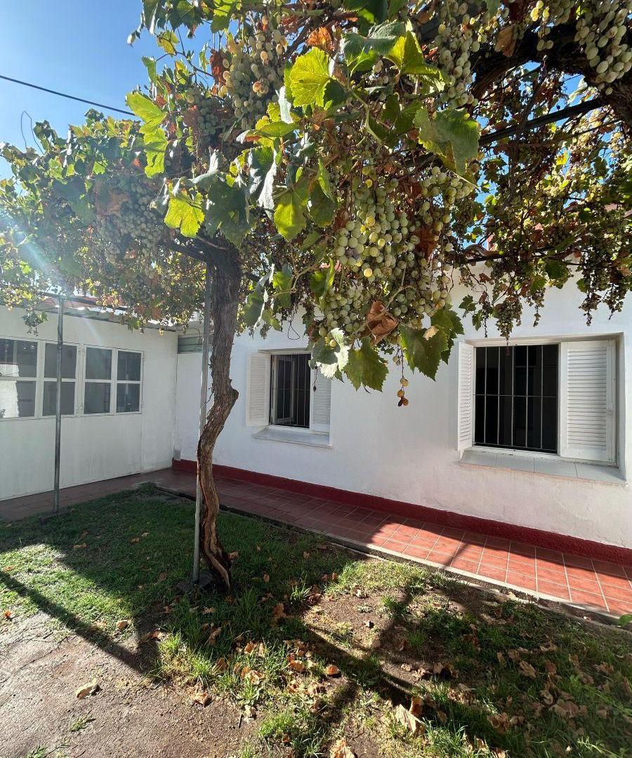 Foto de CASA CON JARDÍN, imagen 2