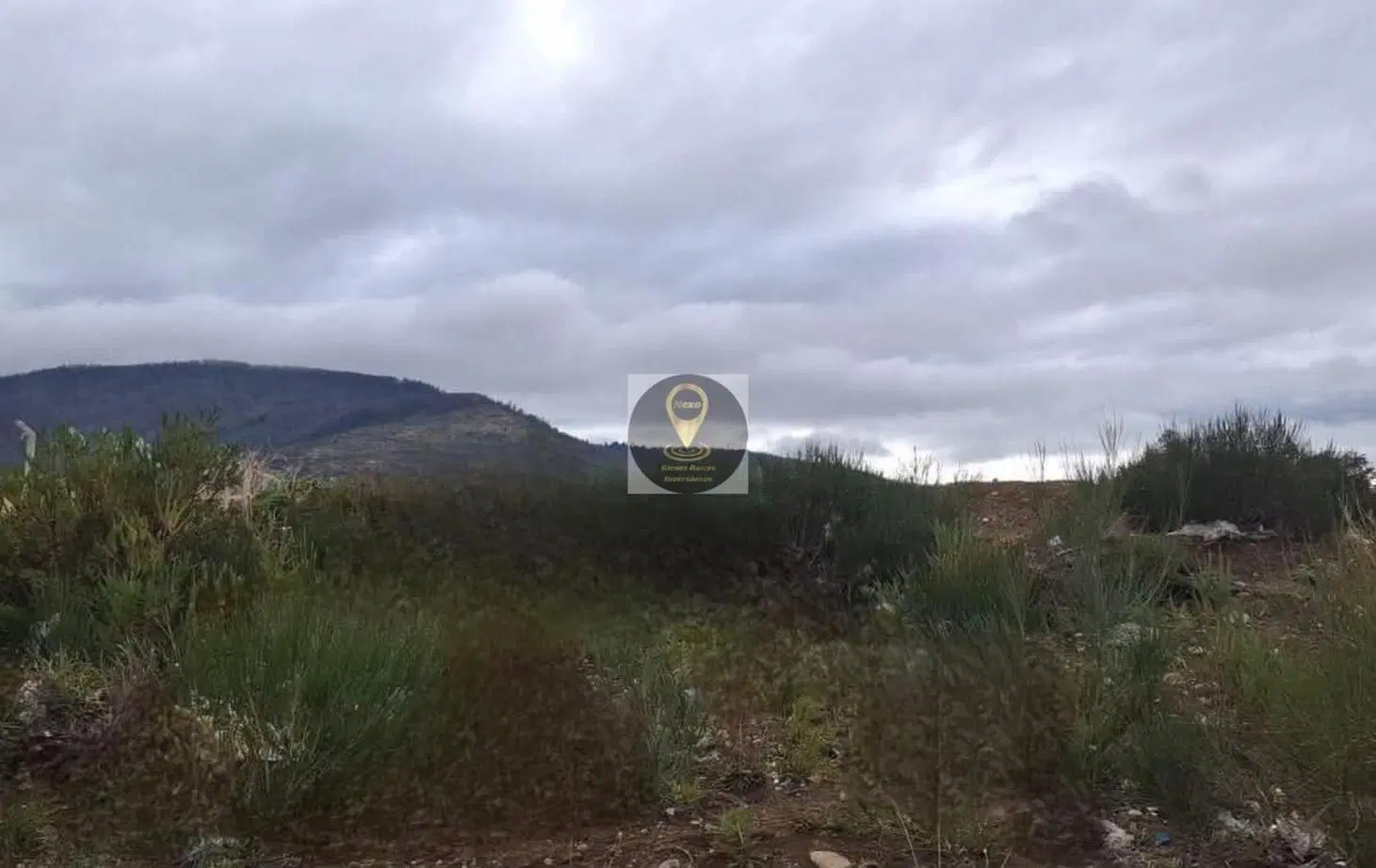 LOTE 5000aprox SOBRE RUTA 40SUR 5