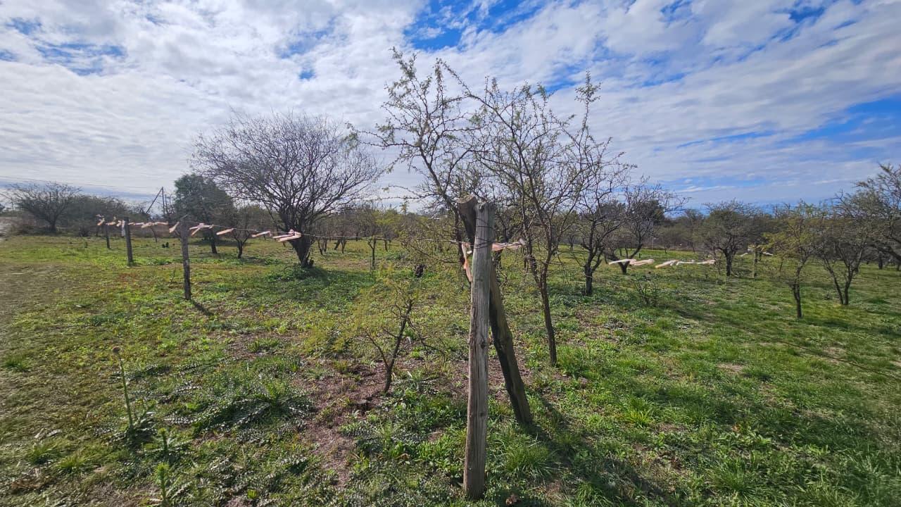 Foto de Terreno en Crucero Sur, imagen 5