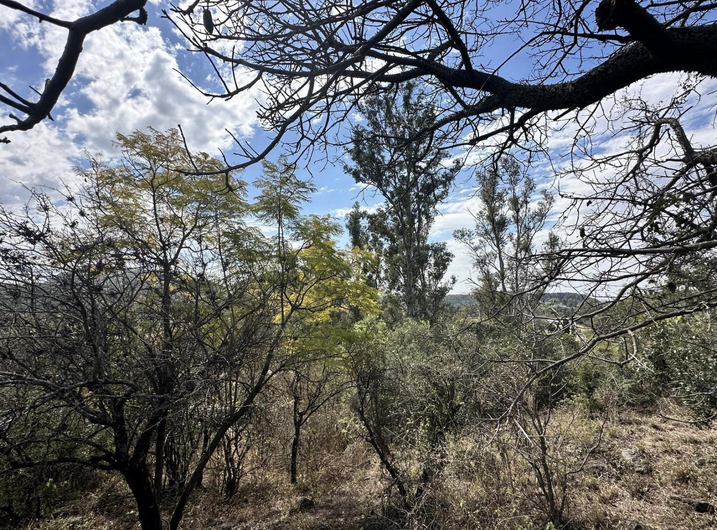 Foto de Terreno con vistas en La Serranita, imagen 5