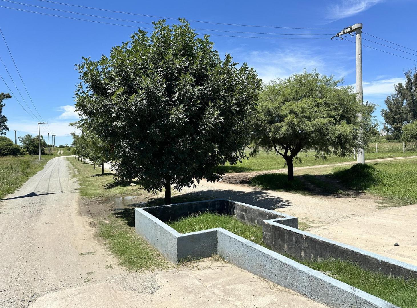 Foto de Lote en venta en Lomas de Anisacate, imagen 5