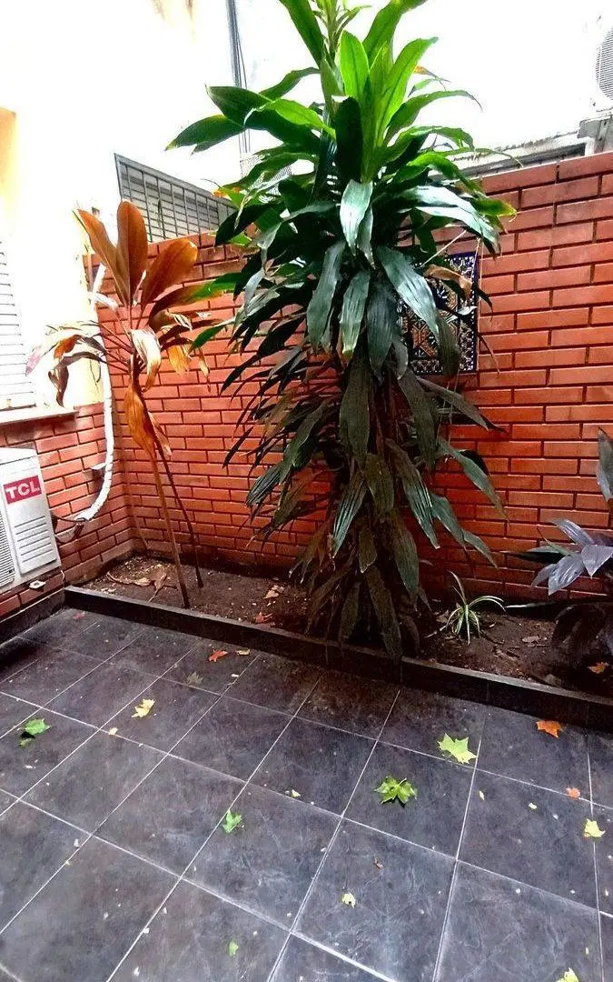 Venta PH Planta Baja 3 Amb C/Patio - Villa Mitre 5