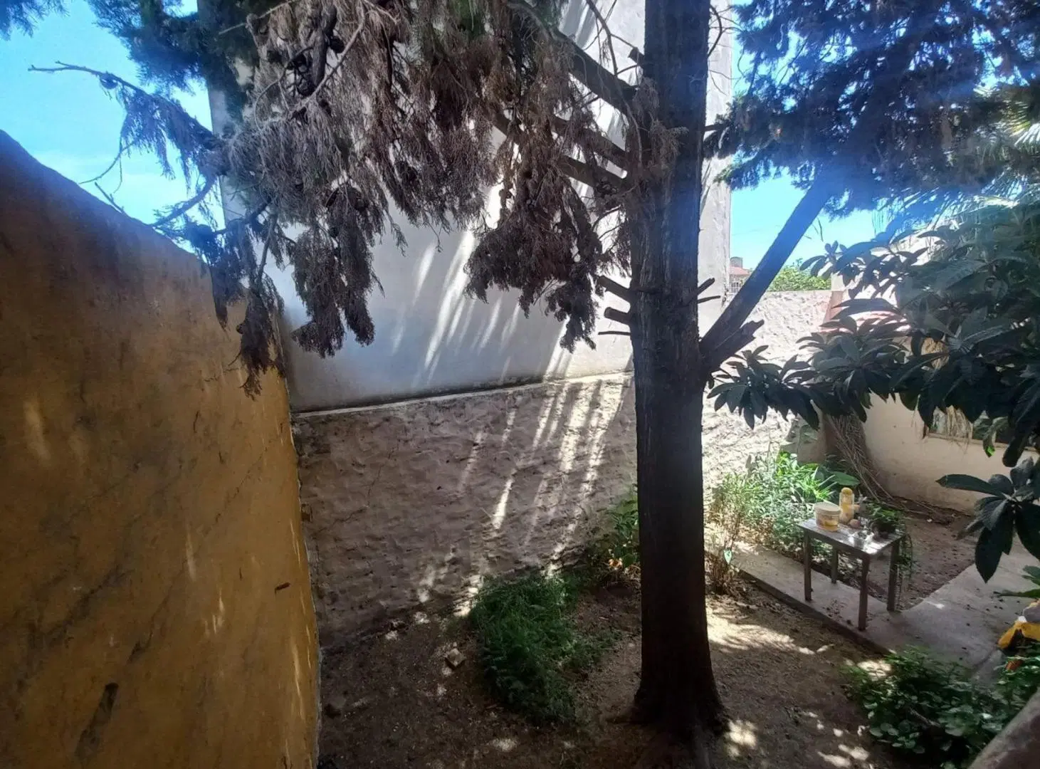 VENTA CASA CON 2 LOCALES + TERRAZA R. MEJÍA SUR 5