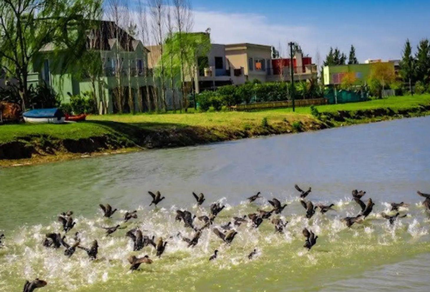 Foto de LOTE EN VENTA PRINCIPADO CIUDAD NAUTICA, imagen 5