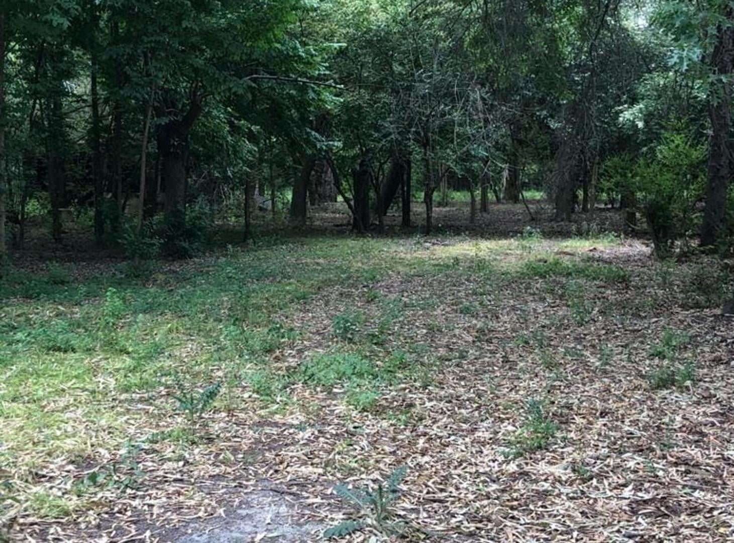 Foto de VENTA TRES LOTES EXCELENTE UBICACION - FÁTIMA, imagen 5