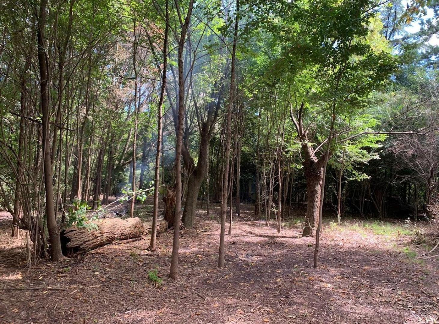 Foto de VENTA TRES LOTES EXCELENTE UBICACION - FÁTIMA, imagen 4