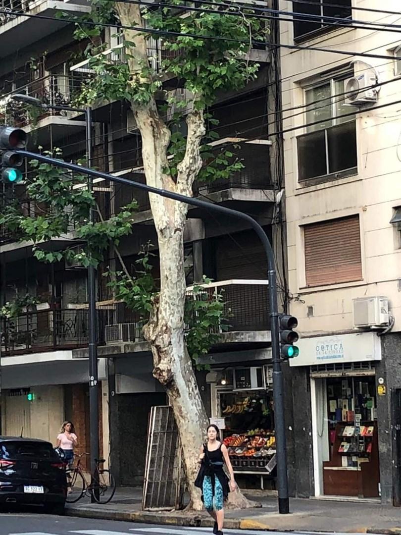 Departamento Monoambiente en Alquiler en Palermo, Capital Federal, Buenos Aires