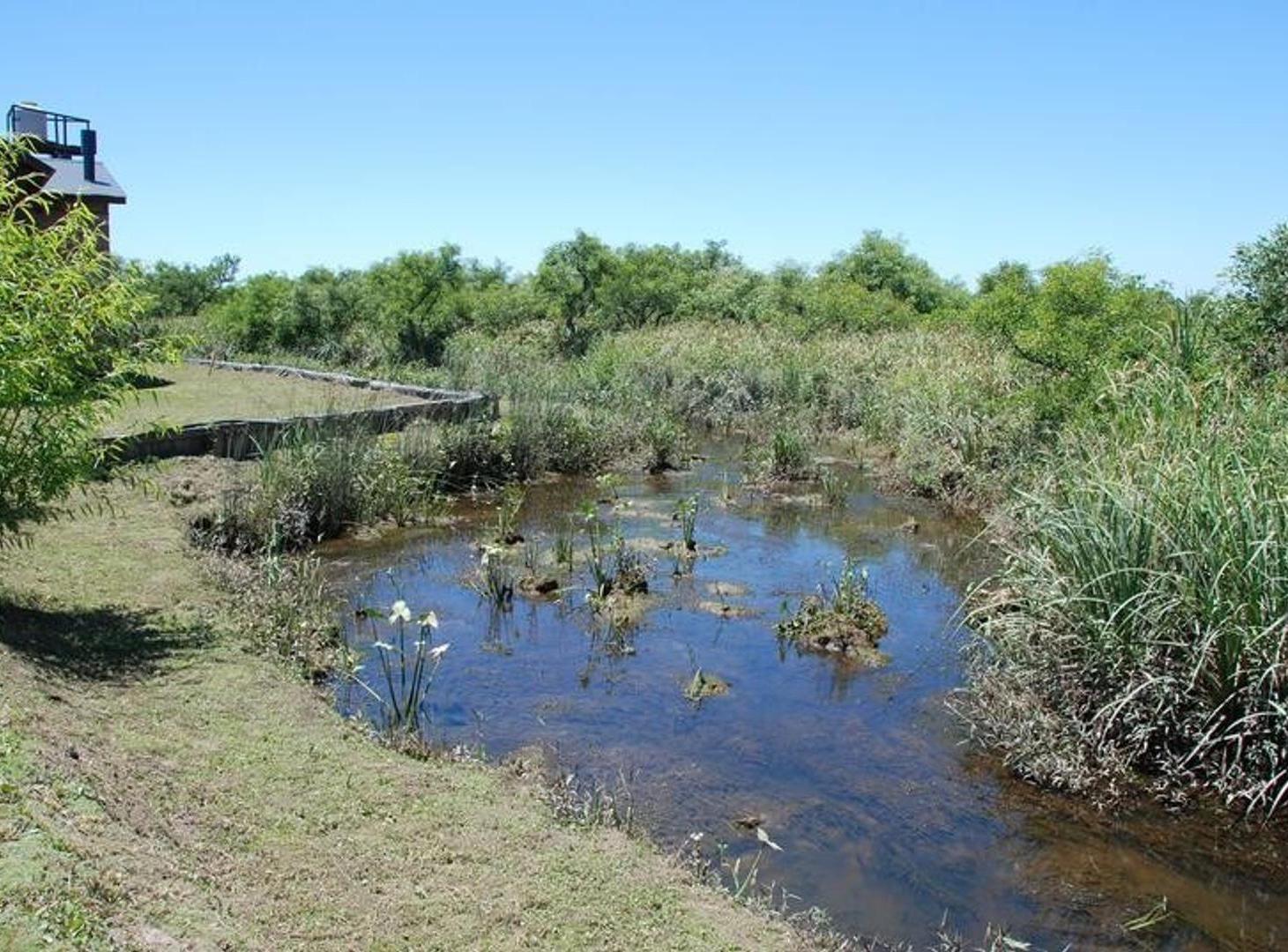Foto de Terreno Lote en Venta en Delta, Tigre, G.B.A. Zona Norte, imagen 1