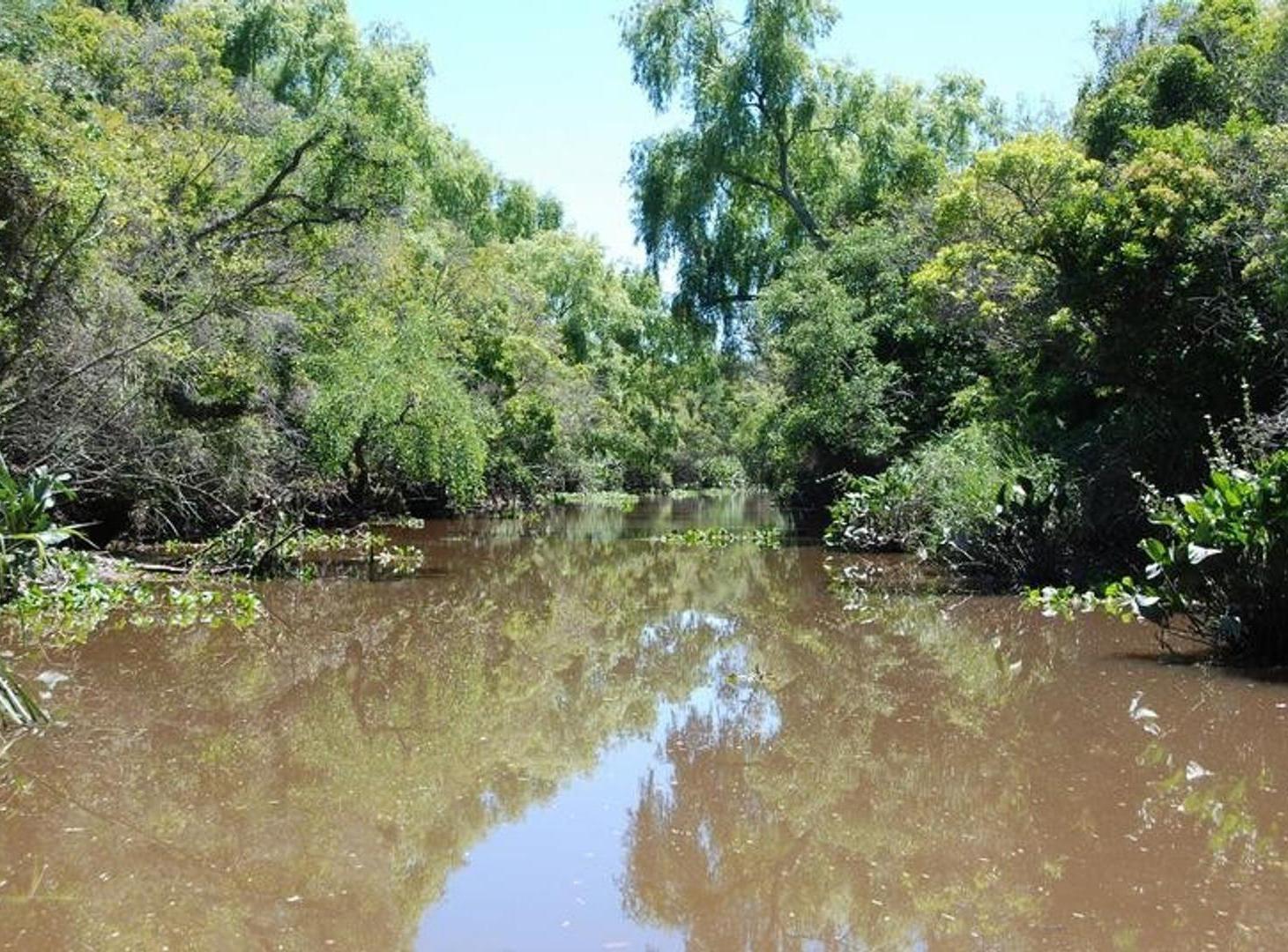 Foto de Terreno Lote en Venta en Delta, Tigre, G.B.A. Zona Norte, imagen 3