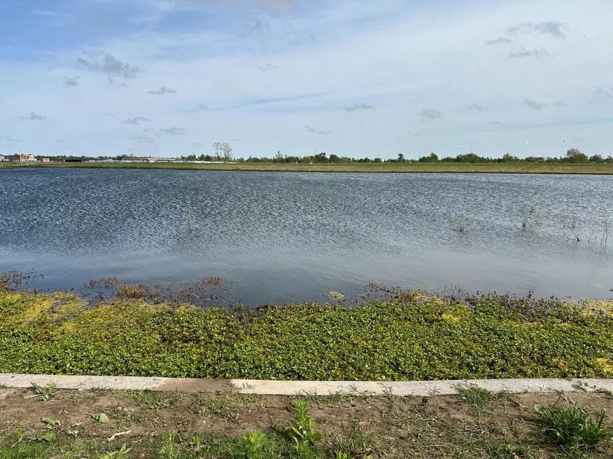 Foto de Venta Lote Al Agua - Barrio Amarras - Puertos Del Lago Escobar., imagen 2