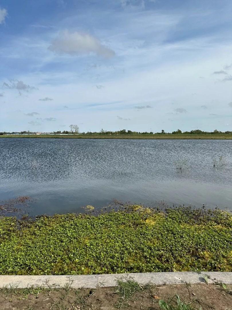 Foto de Venta Lote Al Agua - Barrio Amarras - Puertos Del Lago Escobar., imagen 2