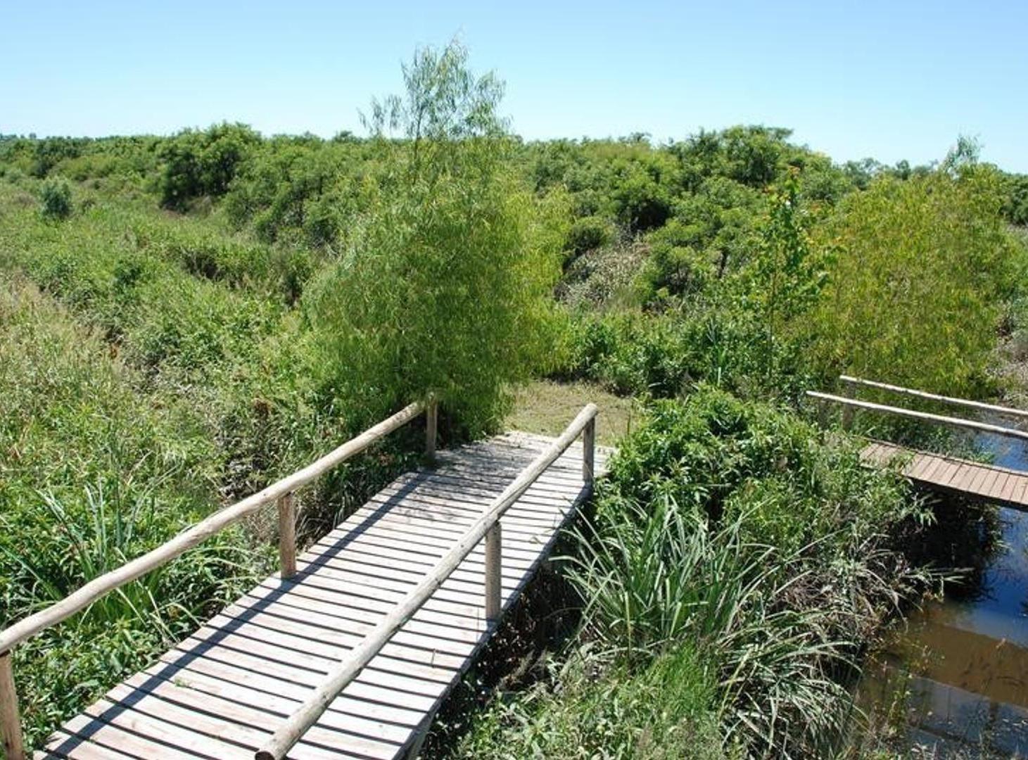 Foto de Terreno Lote en Venta en Delta, Tigre, G.B.A. Zona Norte, imagen 4