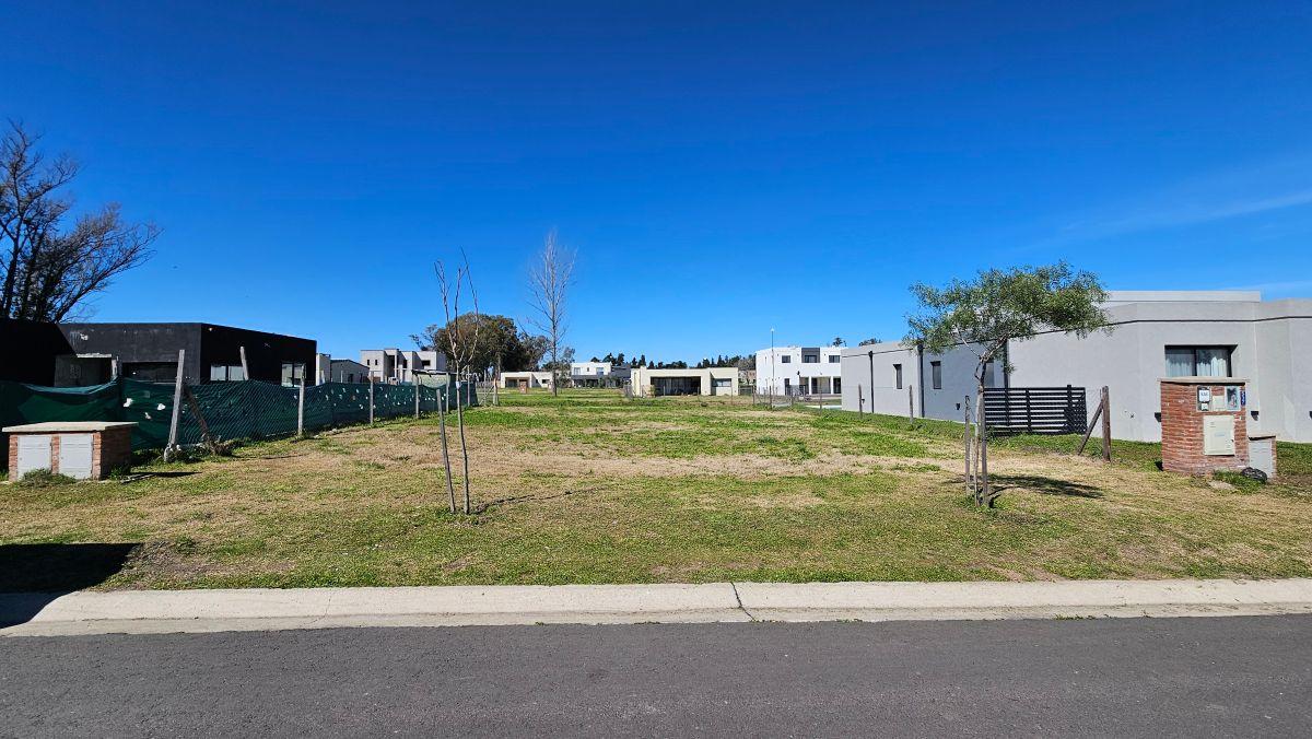 Foto de Venta de lote 526m2 en Santa Sofia Pilar del Este, imagen 4