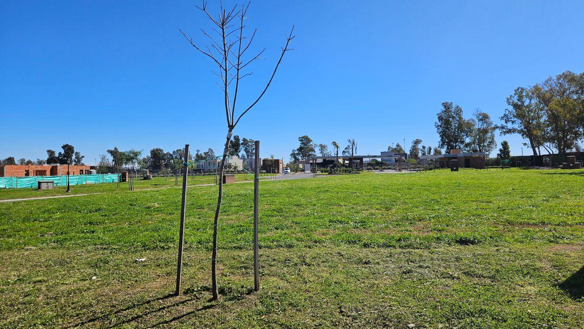 Foto de Venta de lote 526m2 en Santa Sofia Pilar del Este, imagen 3