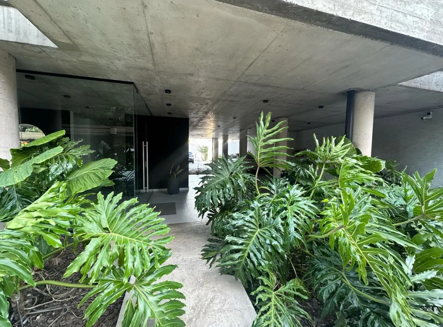 En Alquiler Espectacular Monoambiente Ultimo Piso, Gran Luminosidad 8°C 1