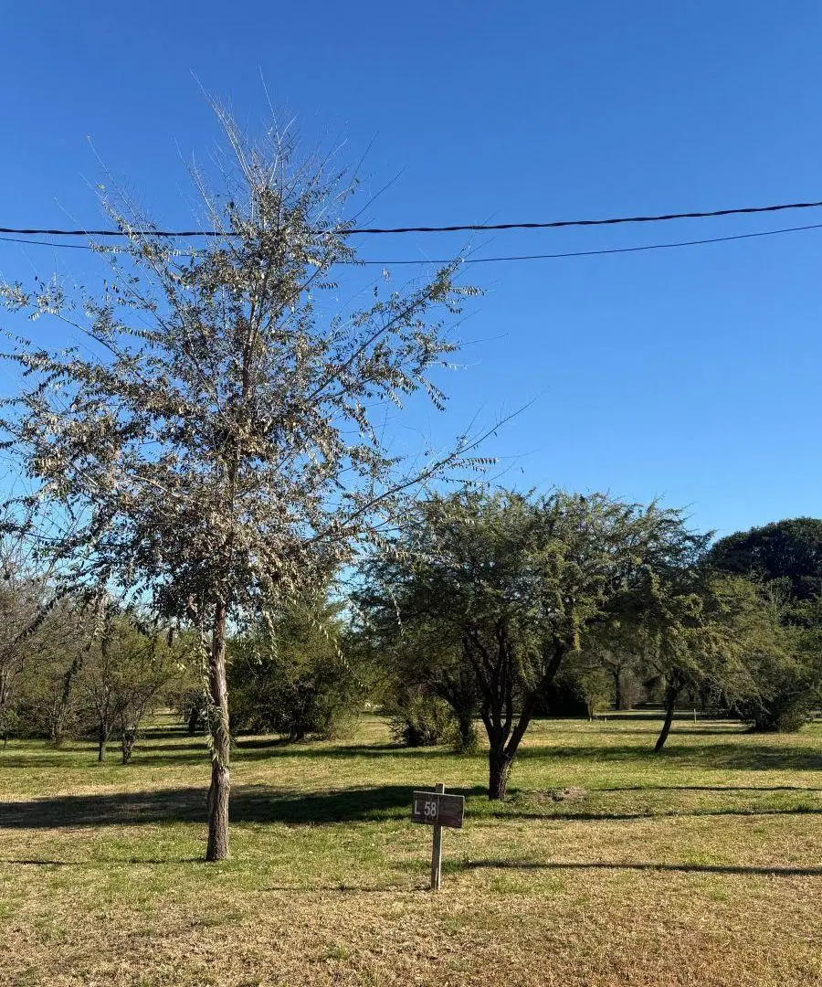 Lotes en Unquillo Barrio Cerrado con Seguridad y escritura | La Adela | 450 m² 5