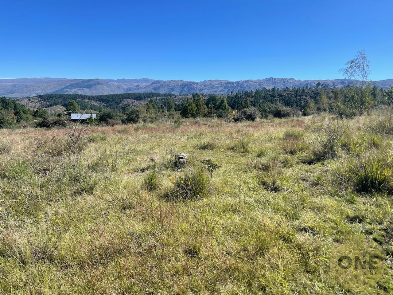 Foto de LOTE EN VENTA , VILLA BERNA , SOBRE RUTA A LA CUMBRECITA, imagen 3