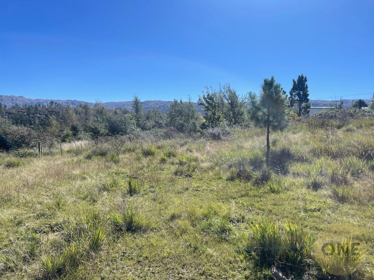 Foto de LOTE EN VENTA , VILLA BERNA , SOBRE RUTA A LA CUMBRECITA, imagen 1