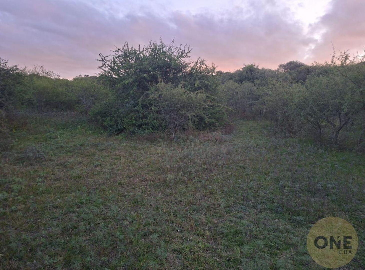 Foto de Terreno en LAS VERTIENTES DE LA GRANJA, imagen 4