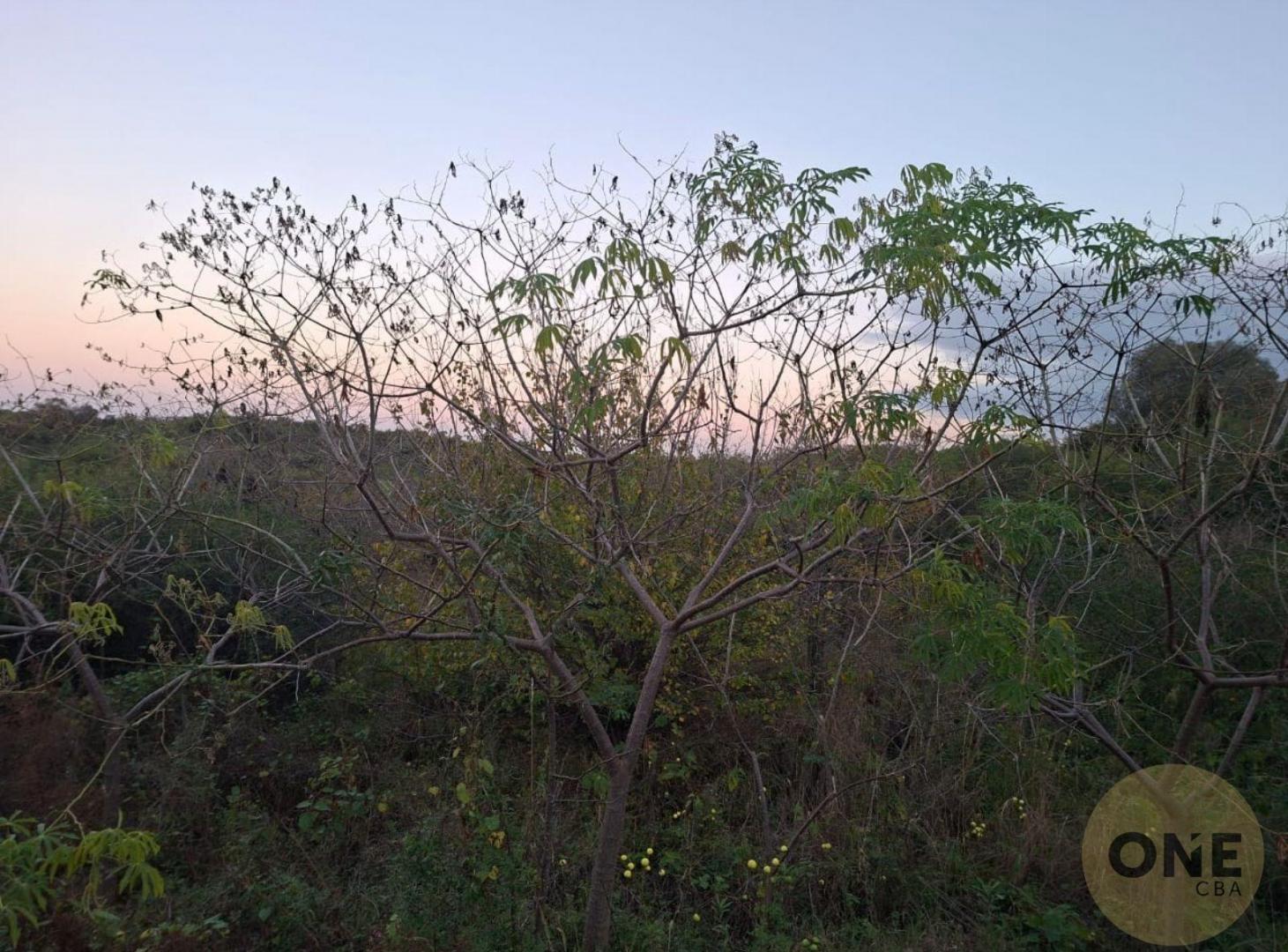 Foto de Terreno en LAS VERTIENTES DE LA GRANJA, imagen 5