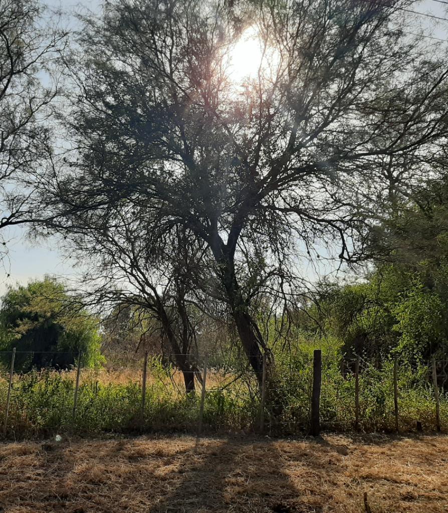 Cordoba La Aguadita - Villa de Las Rosas - Venta de Lote 1