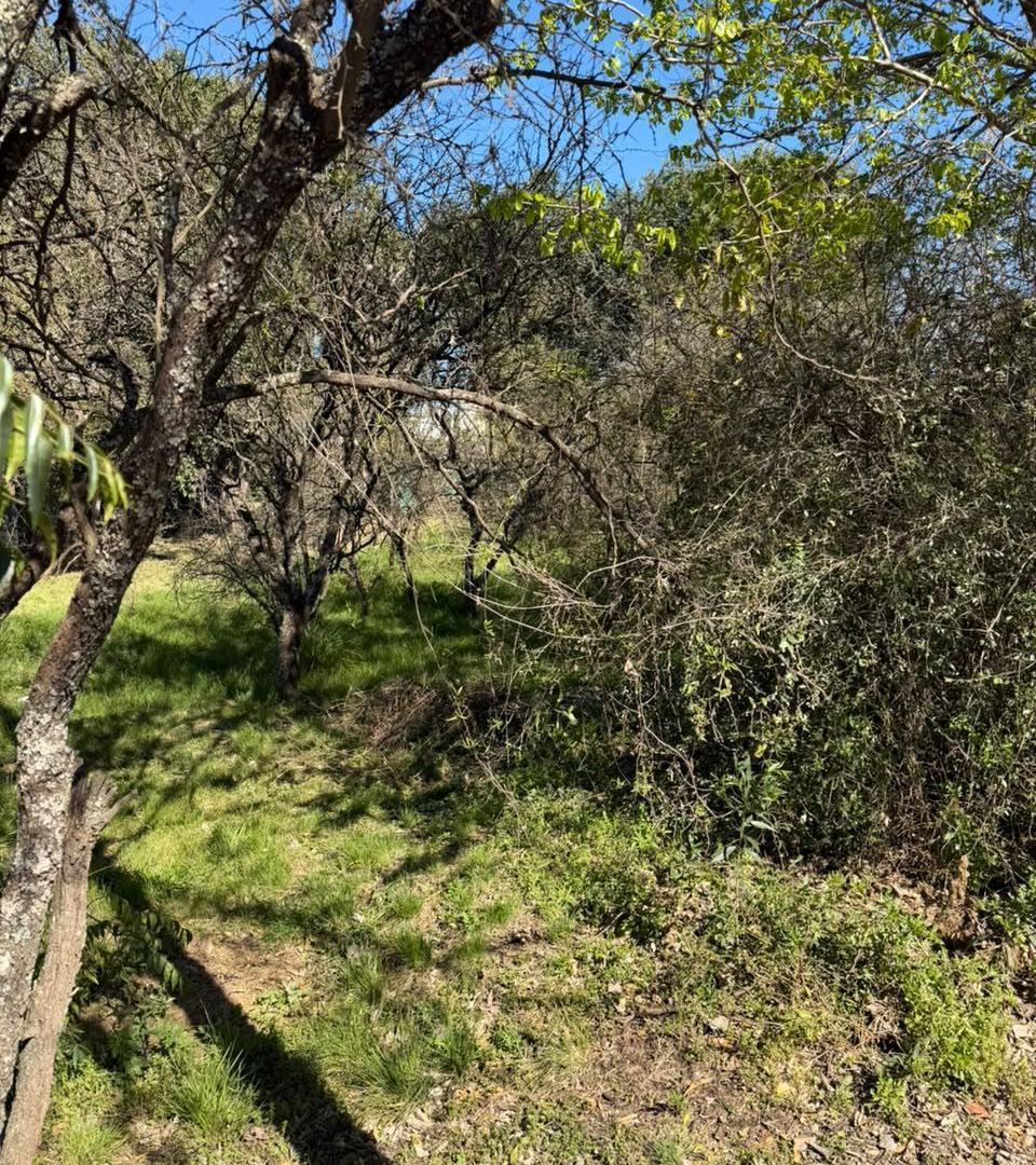 Foto de Se vende lote en Villa Catalina - Barrio Cerrado, imagen 5