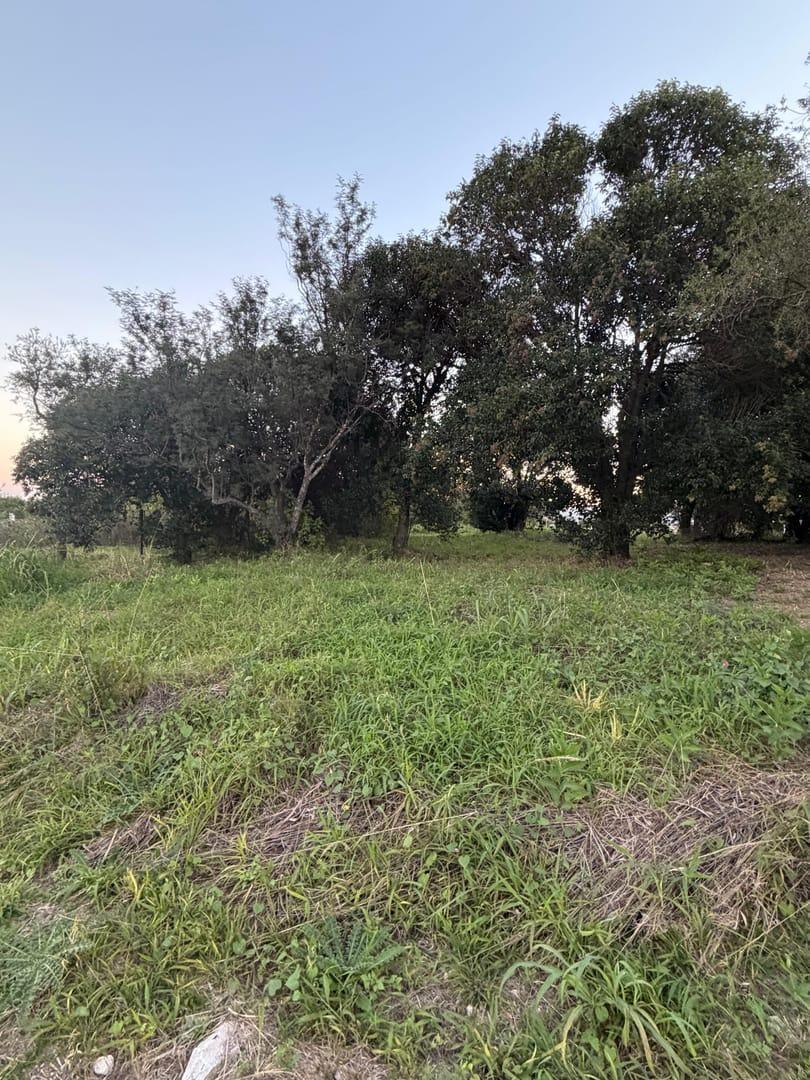 Foto de Se vende lote en Aires del Nordeste, imagen 2