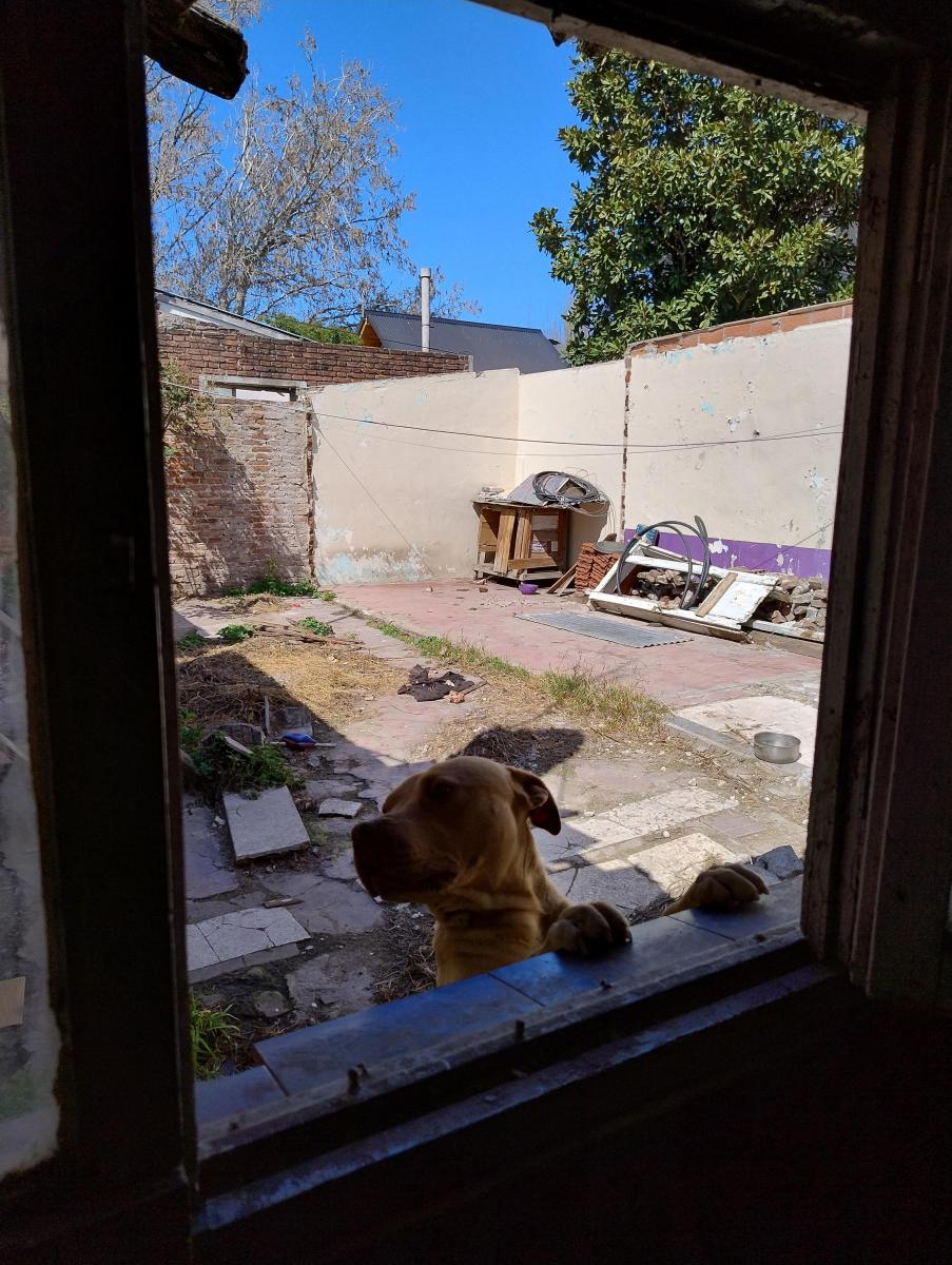 Casa 3 Amb a Reciclar - Oportunidad! 3