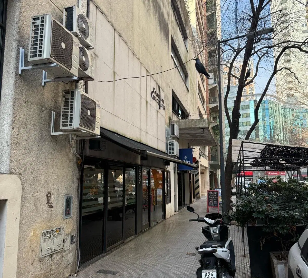 Local en Alquiler Apto Todo Rubro 80mts2 - Palermo Chico 5
