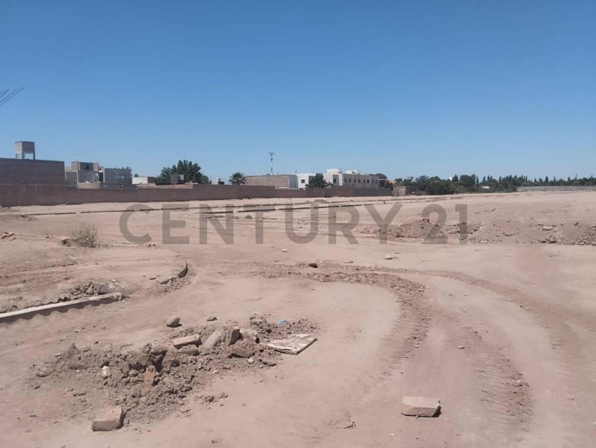Lote, Luján de Cuyo 5