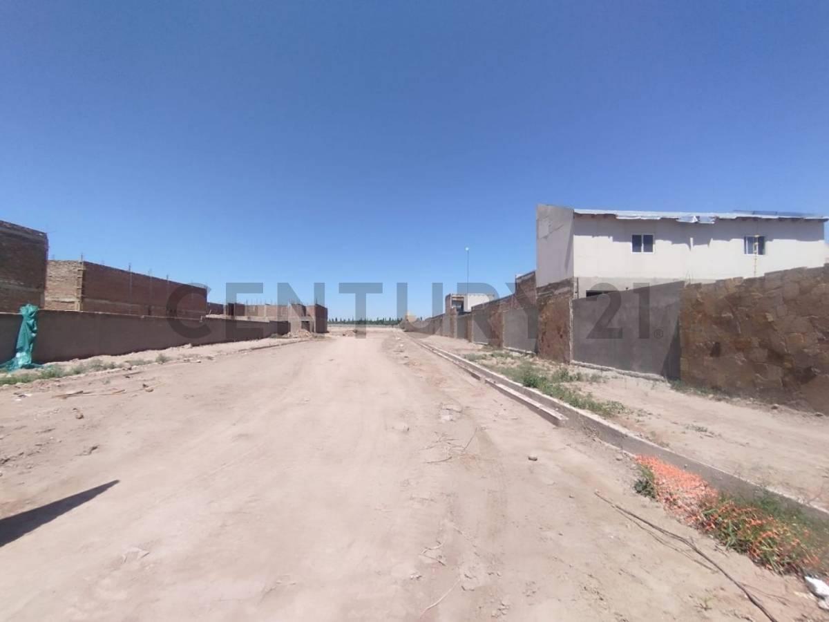 Lote, Luján de Cuyo 1
