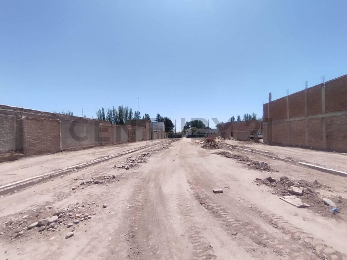 Lote, Luján de Cuyo 4